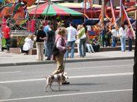 Eine Frau geht mit ihrem schwarz weissen Hund an der Leine auf der Strasse im Hintergrund ist Kirmes.jpg