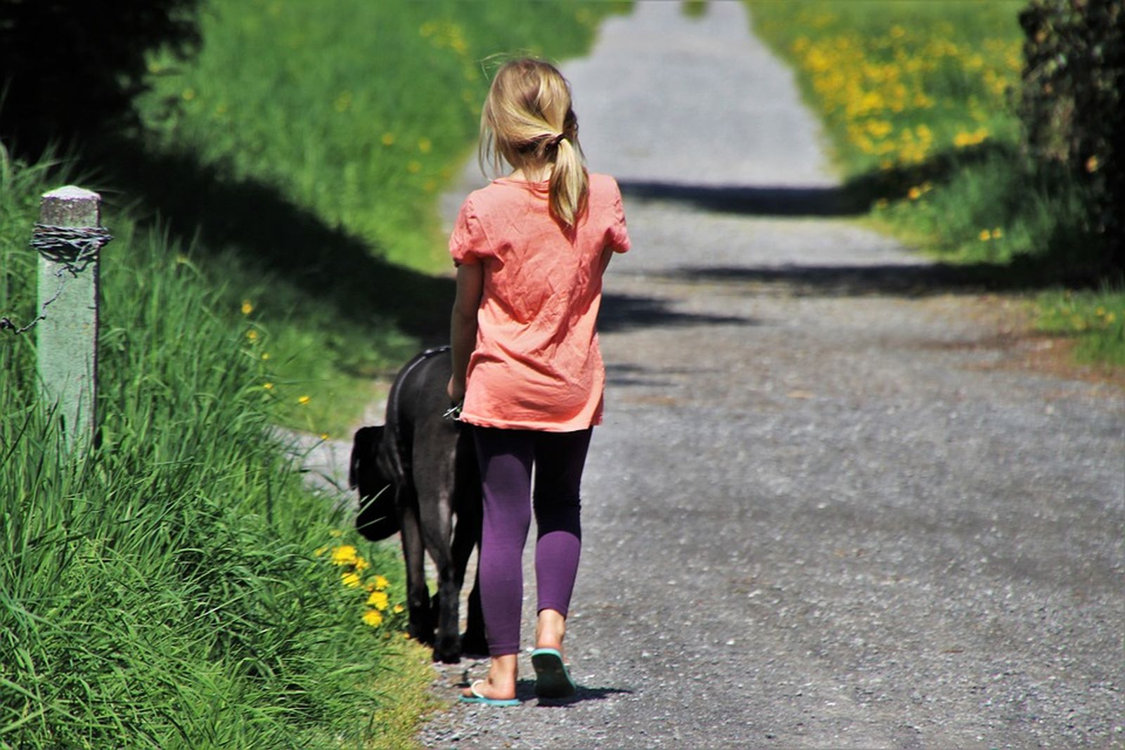 Ein Mädchen mit orangenem Shirt und blauter Leggings geht mit einem schwarzen Hund an der Leine an einem asphaltierten Feldweg spazieren