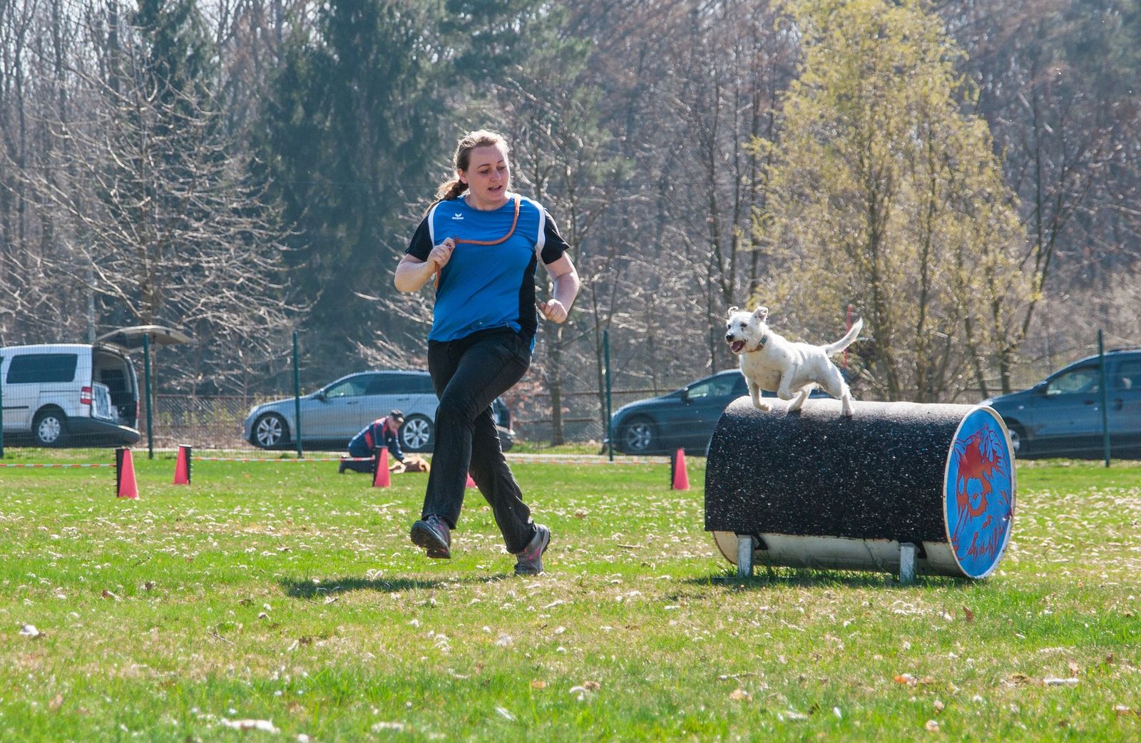 Frau läuft neben ihrem Hund her. Dieser springt über ein auf dem Boden quer liegendes Ölfass als Teil des THS-Hindernisparcours. Alles befindet sich auf der sonnigen, gepfelgten und eingezäunten Wiese eines Hundesportvereins. Hinter dem Zaun parken Autos auf einem Weg am Waldrand.