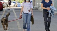 Zwei Frauen gehen mit einem aelteren Hund an der Leine spazieren Ausschnitt.jpg