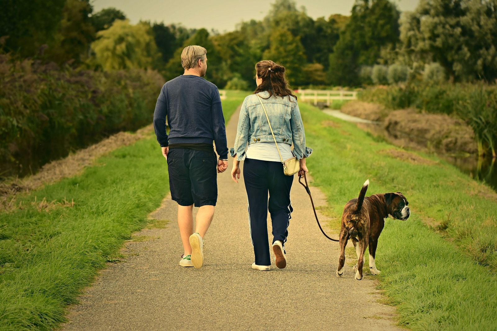 Ein junger Mann mit kurzer Hose und einer Frau mit langer Jogginghose gehen mit einem Boxer an der Leine auf einem Weg spazieren