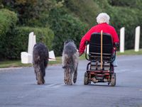 Rollstuhlfahrer mit zwei Irischen Wolfshunden.jpg
