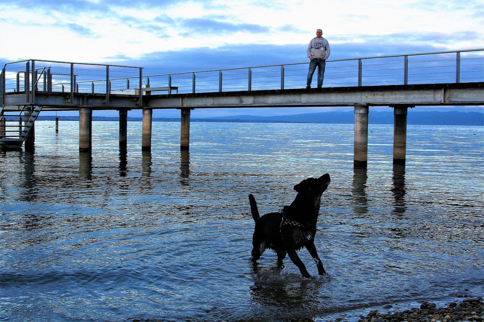 Ein Mann steht hoch oben auf einer Stahlbrücke und schaut zu einem Hund mit Geschirr der aus dem Wasser geht