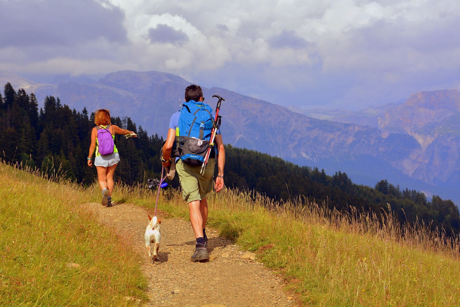 Zwei Wanderer wandern mit einem kleinen weißen Hund auf einem schmalen Wanderweg umgeben von grüner Wiese hochoben in den Bergen