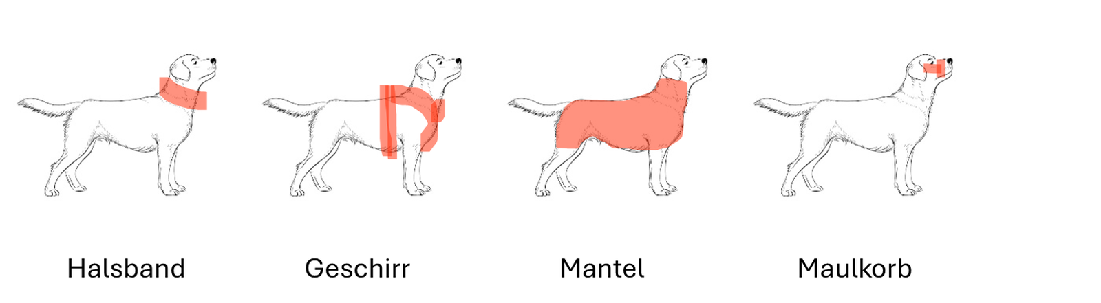 Grafik mit vier gleichen Hunden Gegenüberstellung von Halsband, Gesschirr, Mantel und Maulkorb, wo das jeweilige Zubehör am Hundekörper befestigt ist.