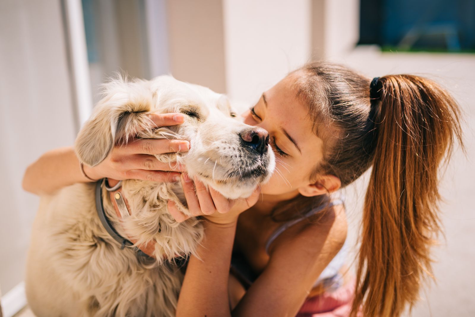 Ein junges Mädchen greift den Kopf des Golden Retriever mit beiden Händen und küsst ihn feste