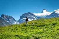 Wanderer mit Hund geht über die Wiese vor dem Alpenpanorama.jpg