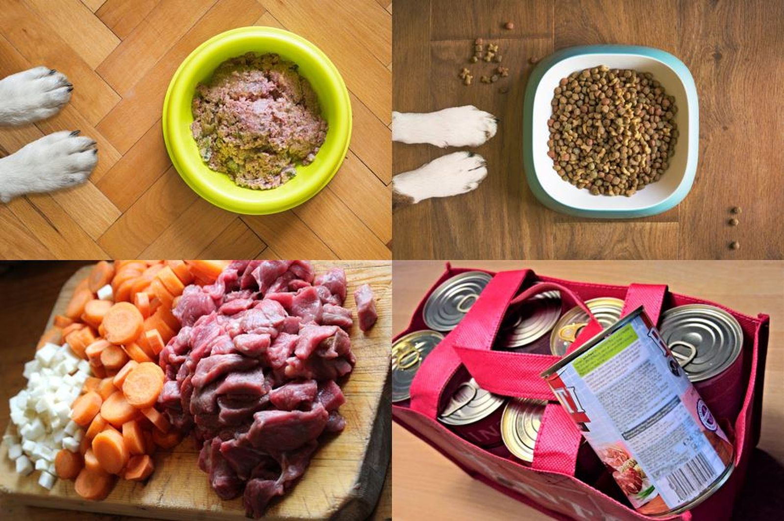 Vier verschiedene Fotos mit unterschiedlichen Arten von Hundefutter vom Nassfutter über Trockenfutter zu Gemüse und rohem Fleisch bis zu Dosenfutter