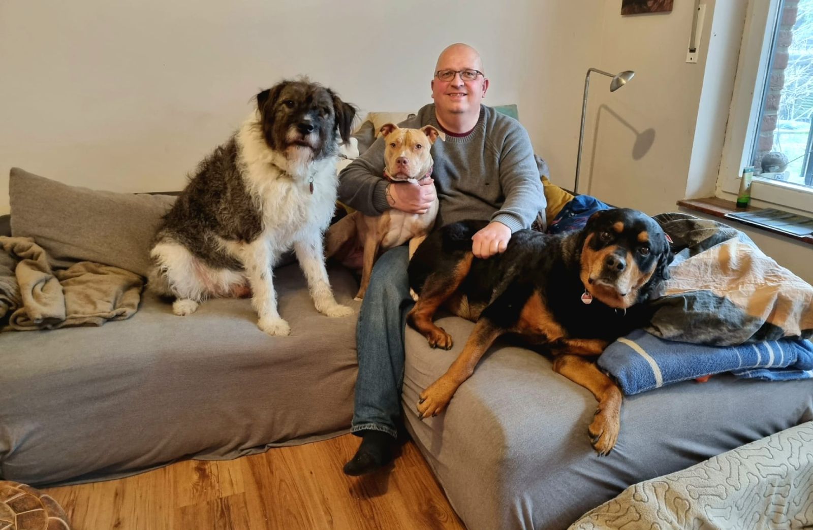 Ein Mann mit Glatze sitzt mit drei Hunden auf dem Sofa und schaut glücklich zum Betrachter