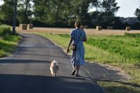 Eine Frau mit blau weiss kariertem Kleid mit Hund an der Leine geht im Feld auf einer Strasse spazieren.jpg
