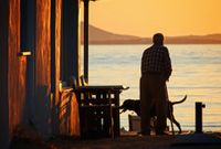 Mann mit Stock und Hund am See.jpg