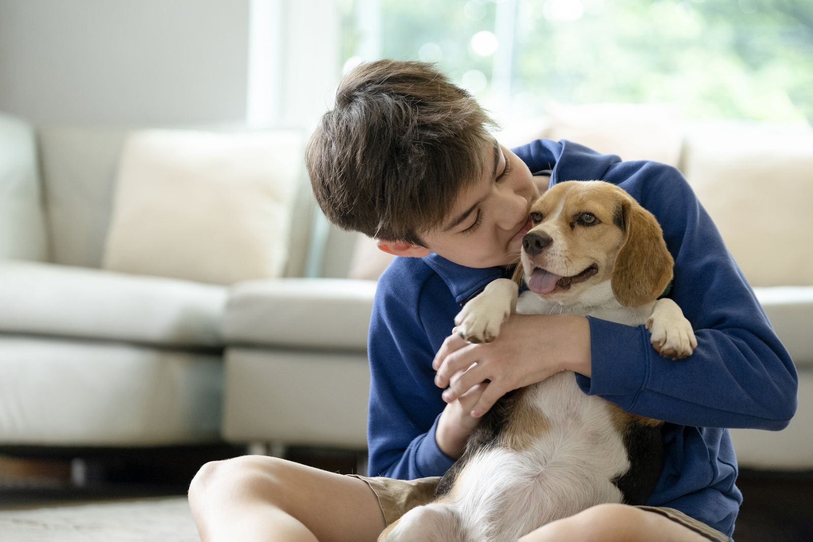 Ein Beagle wird von einem sitzenden Jungen eng an sich gedrückt und fühlt sich dabei sichtlich unwohl.