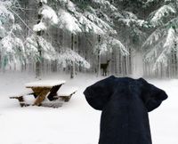 Ein schwarzer Hund sieht ein Reh im Wald bei Schnee.jpg