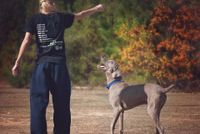 Eine Frau mit Weimaraner beim Hundetraining.jpg