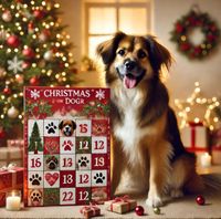 Ein Hund sitzt neben einem Adventskalender und im Hintergrund ist ein Weihnachtsbaum und diverser Weihnachtsschmuck zu sehen.JPG