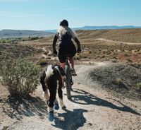 Ein schwarz weisser Hund laeuft hinter einer Mountainbikerin her Ausschnitt.jpg