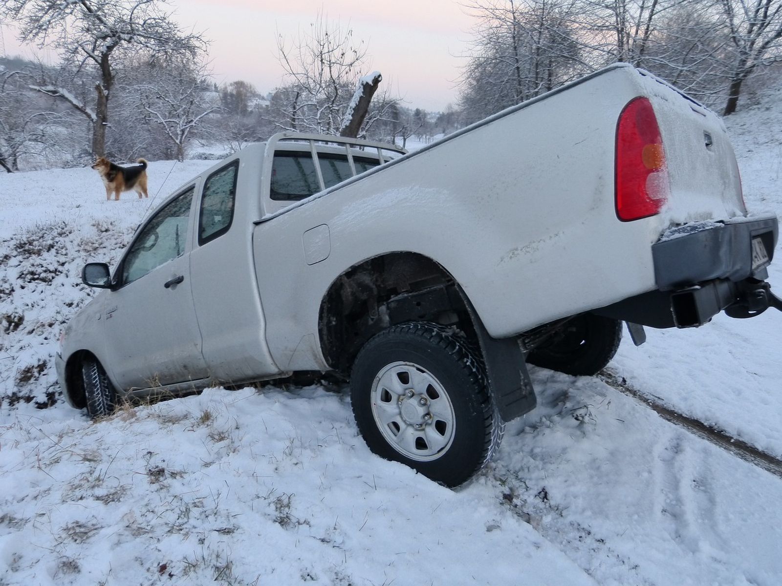 Ein verunfallter weißer Pick-up liegt im verschneiten Graben und dahinter steht ein Hund im Schnee