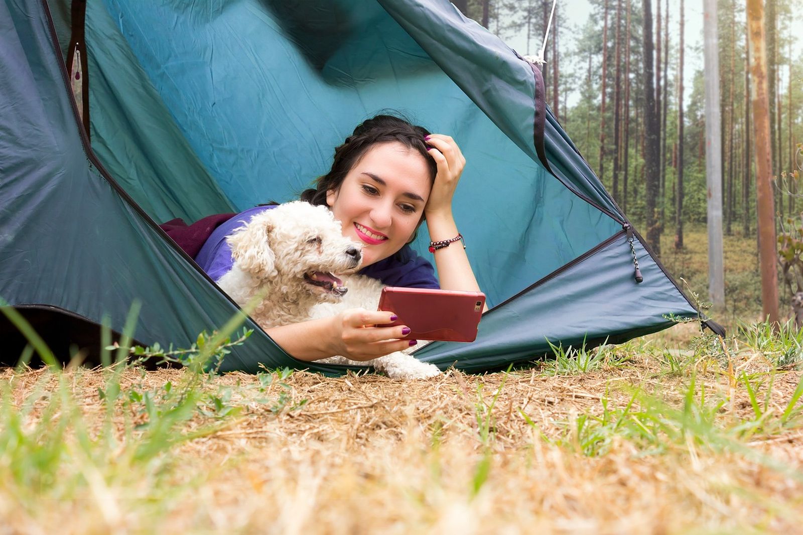 Eine junge Frau liegt neben ihrem weißen kleinen Hund am Zeltausgang und schaut lächelnd in ihr Handy.