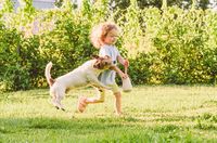 Ein kleines Mädchen mit blonden Locken läuft über die Wiese und ein weiß-brauner Hund der Rasse Parson Russell Terrier beißt ihm in den rechten Arm..jpg