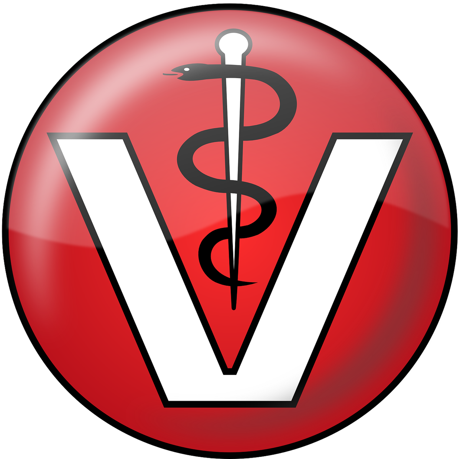 Tierarztlogo in rot-weiß mit Schlange als Vectorgrafik