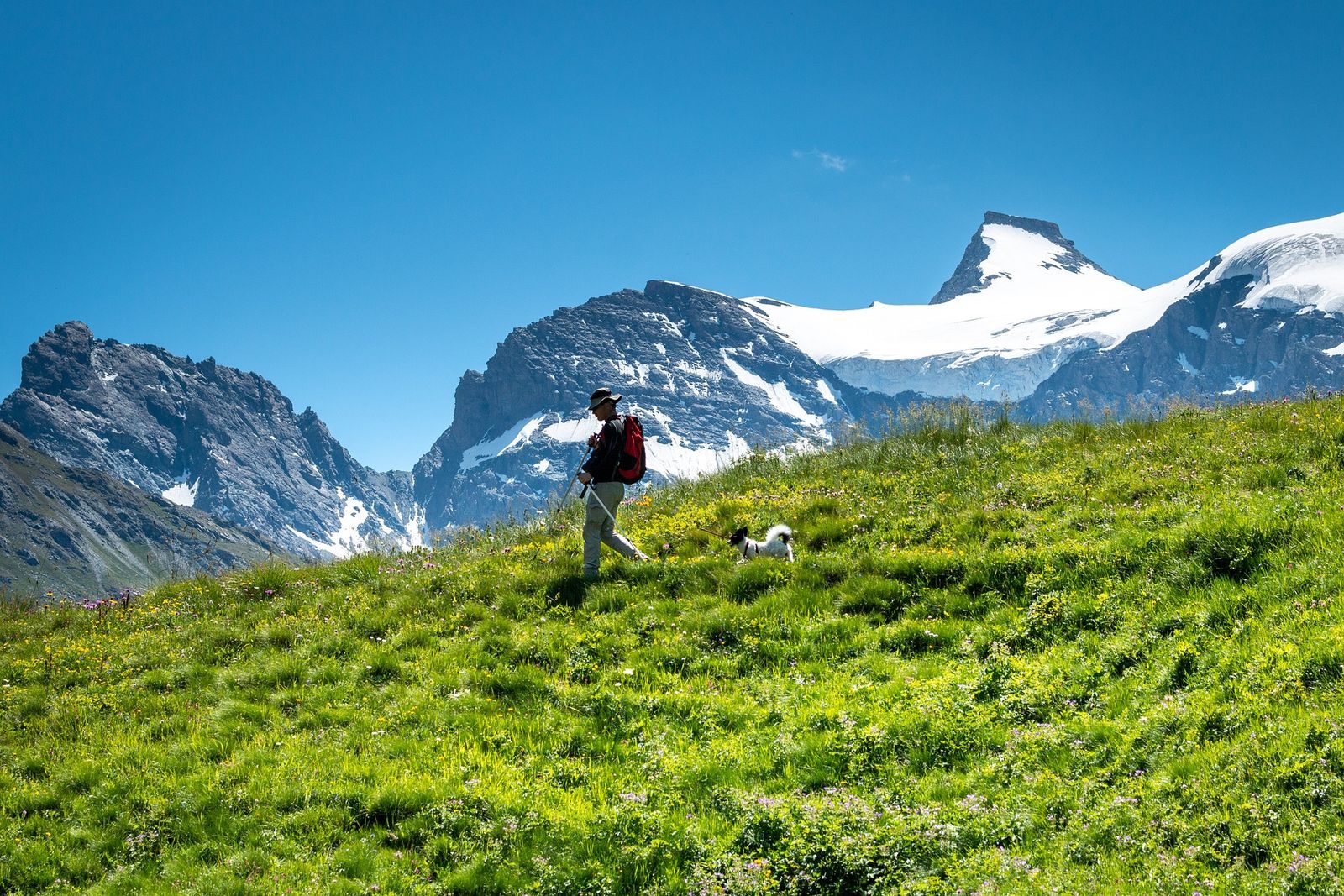 Ein Mann mit Hut und Rucksack wandert auf einer Wiese in den Bergen mit seinem kleinen schwarz weißen Hund vor einer Bergkulisse