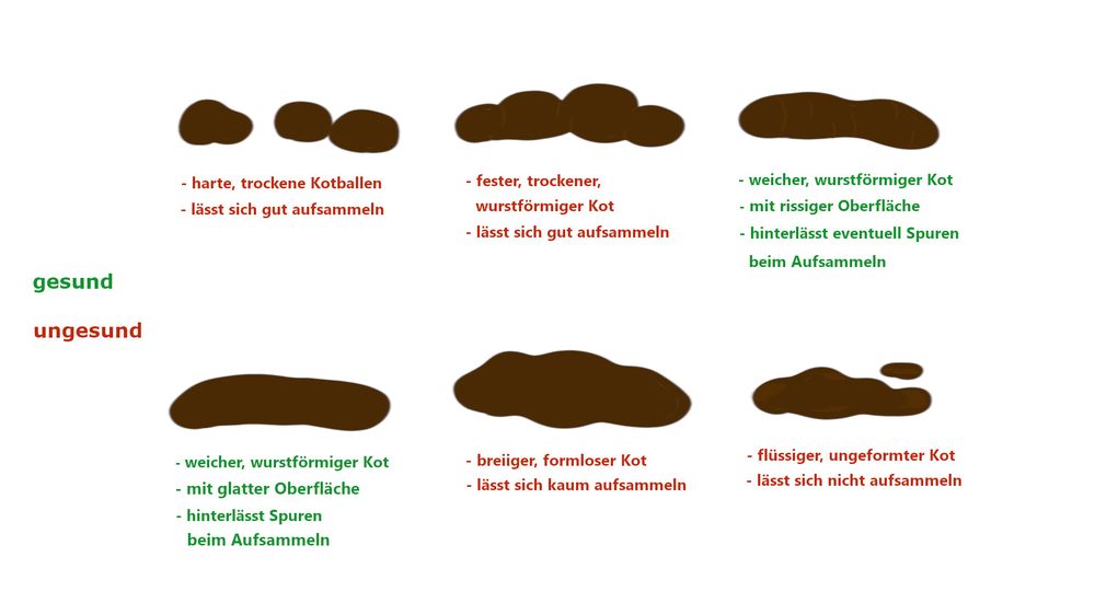 Kotformen - dogondo.de