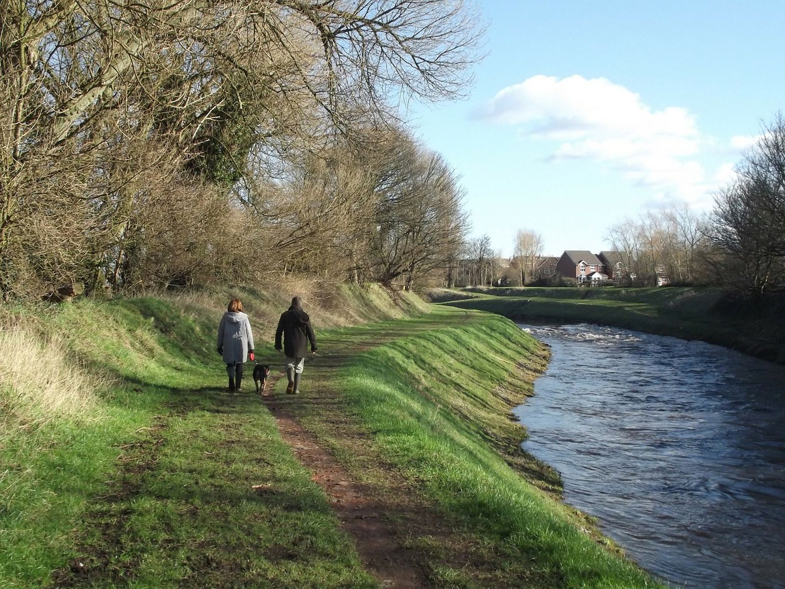 Ein Paar geht mit dem Hund auf der Wiese entlang eines kleinen Flusses spazieren