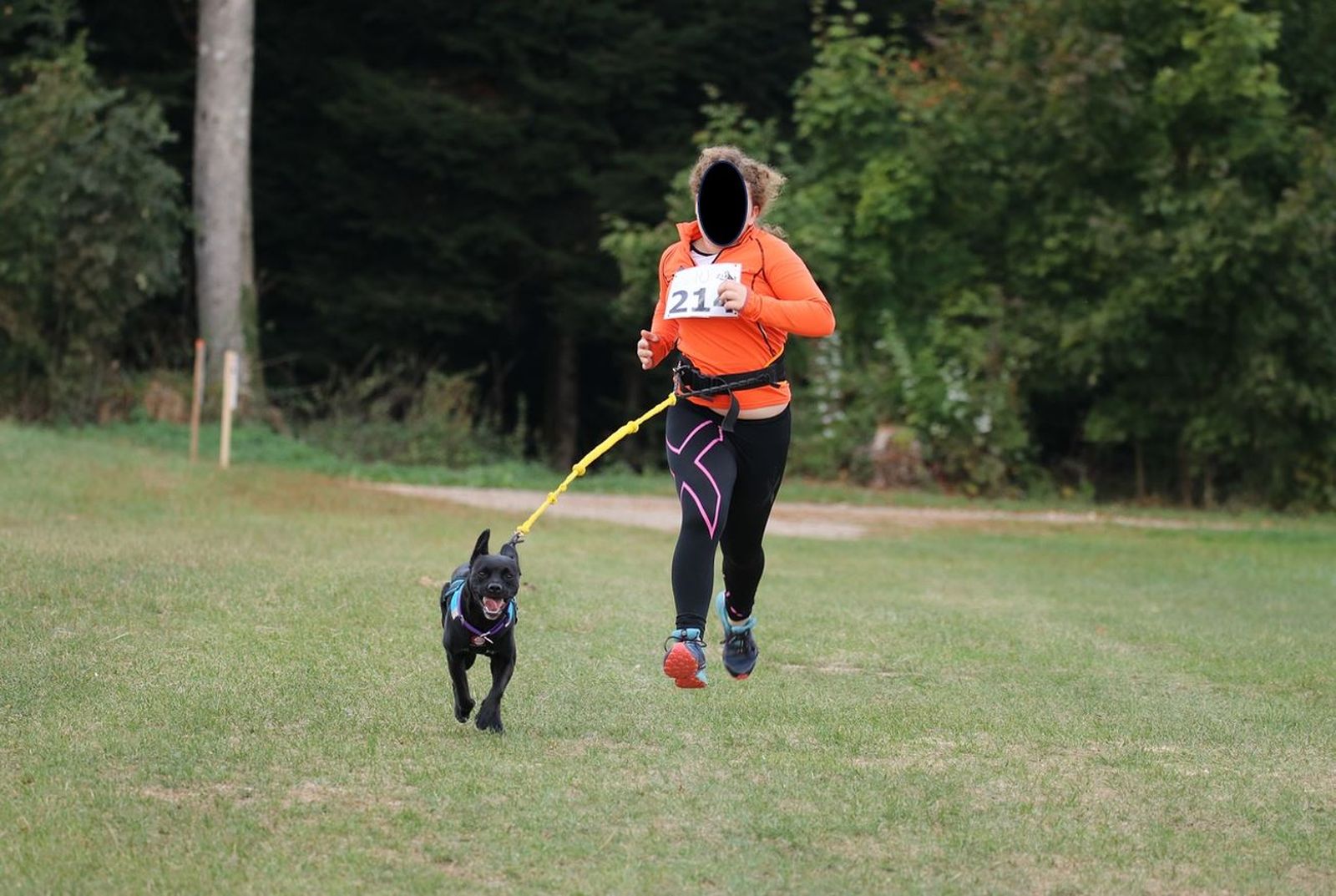 Für Canicross braucht es keinen Hund aus einer Schlittenhunderasse. Hier zieht ein schwarzer Hund eine junge Läuferin. 